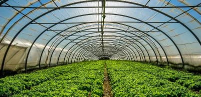 Greenhouse monitoring