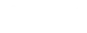 WAM Logo